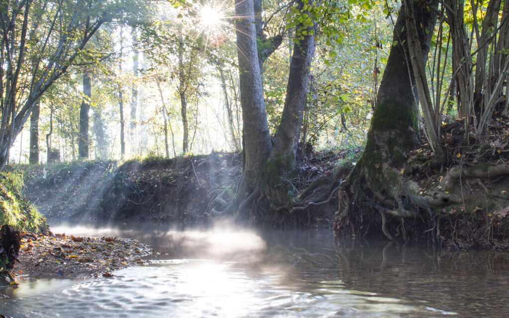 La Casetta dei Palù, Valdobbiadene: Activities, Autumn, Outdoor, Spring, Summer, Winter