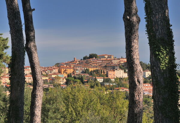 Villa Bolgheri Vermentino Castagneto Carducci: all'aperto, Attività, Autunno, Estate, Primavera