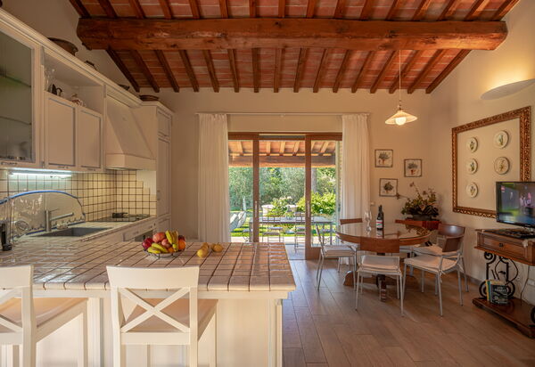 Villa Bolgheri Vermentino Castagneto Carducci: Autunno, Cucina, Estate, Primavera