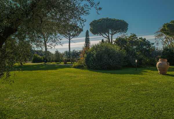 Villa Bolgheri Vermentino Castagneto Carducci: Autunno, Estate, Giardino, Primavera