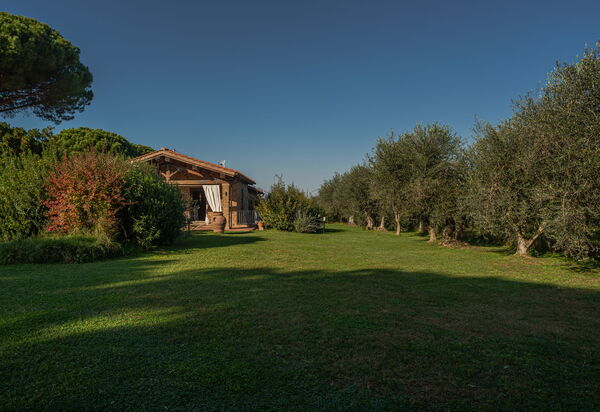 Villa Bolgheri Vermentino Castagneto Carducci: Autunno, Estate, Giardino, Primavera