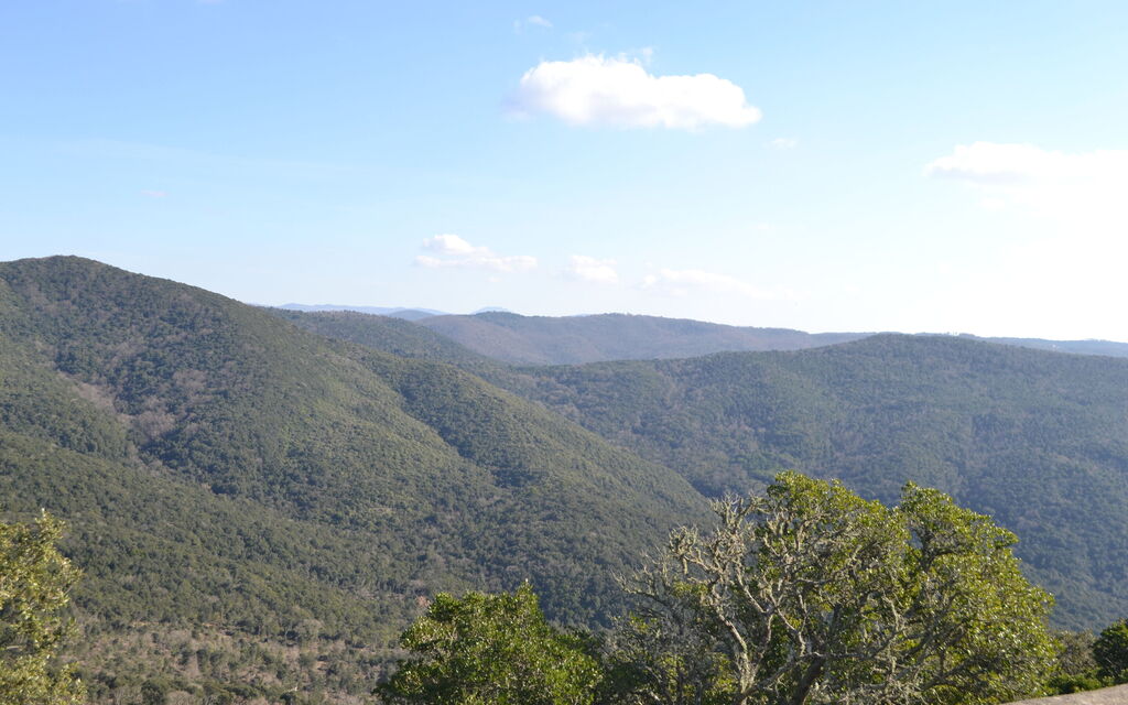 Villa Bolgheri Vermentino Castagneto Carducci: Activities, Autumn, Outdoor, Spring, Summer