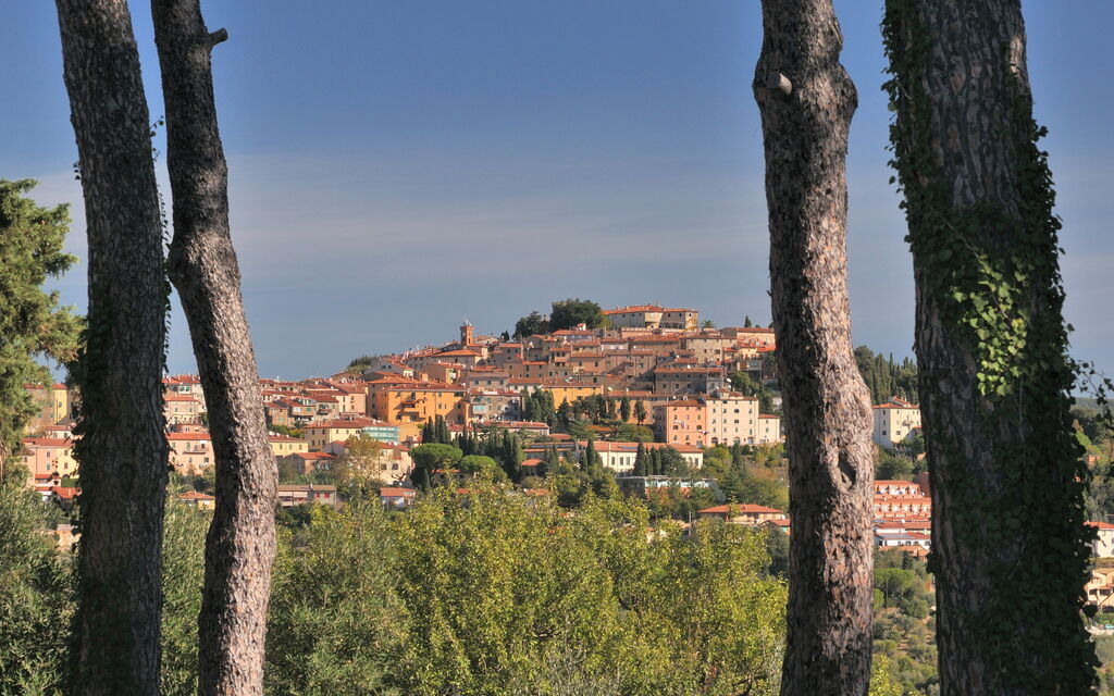 Villa Bolgheri Vermentino Castagneto Carducci: Activities, Autumn, Outdoor, Spring, Summer