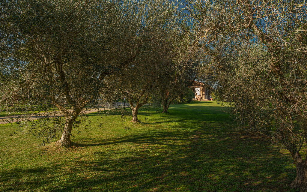 Villa Bolgheri Vermentino Castagneto Carducci: Autumn, Garden, Spring, Summer