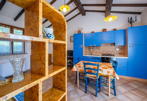 Il Giuncheto Apartments, Pool, Umbrian Countryside: Autumn, Kitchen, Spring, Summer