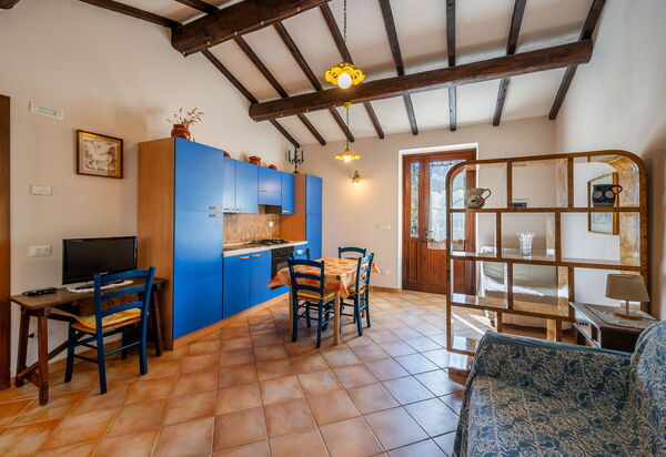 Il Giuncheto Apartments, Pool, Umbrian Countryside: Autumn, Kitchen, Spring, Summer