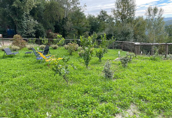 Borgo Antico, Pool, Barberino del Mugello: Autunno, Estate, Giardino, Primavera
