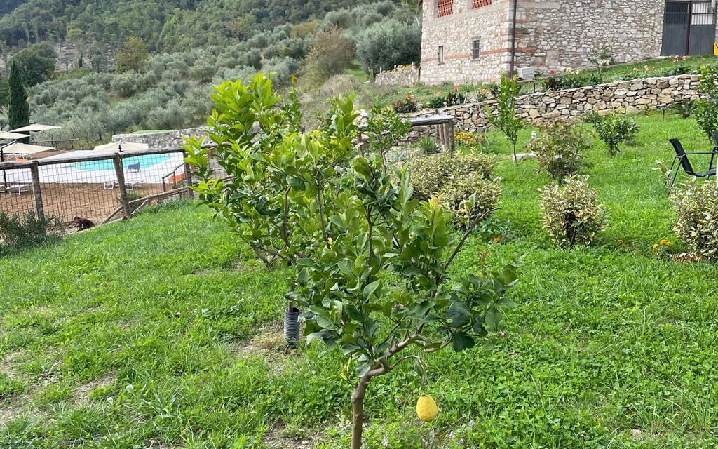 Borgo Antico, Pool, Barberino del Mugello: Autumn, Garden, Spring, Summer