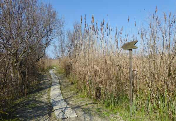 Villa Camerini, Nature, Bikes and Beaches: Activities, Autumn, Outdoor, Spring, Summer