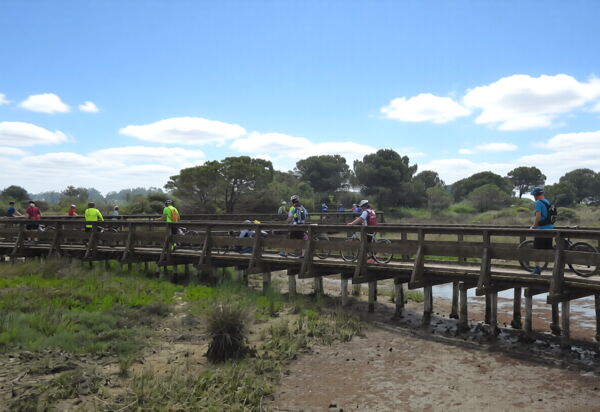 Villa Camerini, Nature, Bikes and Beaches: Activities, Autumn, Outdoor, Spring, Summer