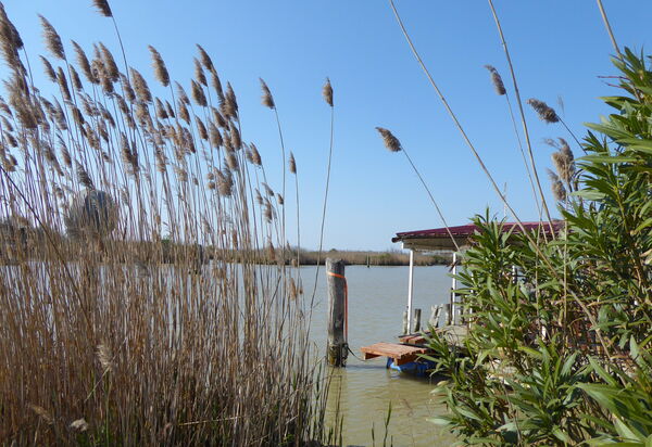 Villa Camerini, Nature, Bikes and Beaches: Activities, Autumn, Outdoor, Spring, Summer