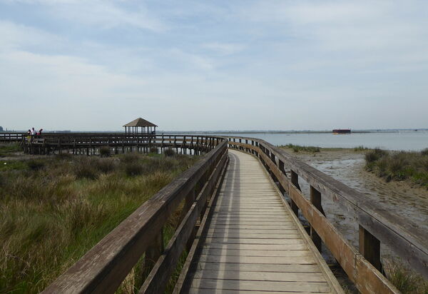 Villa Camerini, Nature, Bikes and Beaches: Activities, Autumn, Outdoor, Spring, Summer