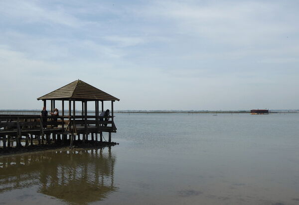 Villa Camerini, Nature, Bikes and Beaches: Activities, Autumn, Outdoor, Spring, Summer