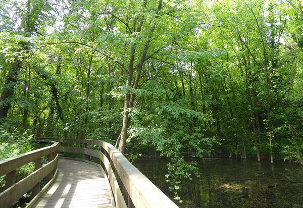 Villa Camerini, Nature, Bikes and Beaches: Activities, Autumn, Outdoor, Spring, Summer