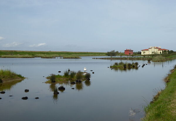 Villa Camerini, Nature, Bikes and Beaches: Activities, Autumn, Outdoor, Spring, Summer