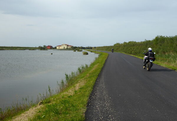 Villa Camerini, Nature, Bikes and Beaches: Activities, Autumn, Outdoor, Spring, Summer