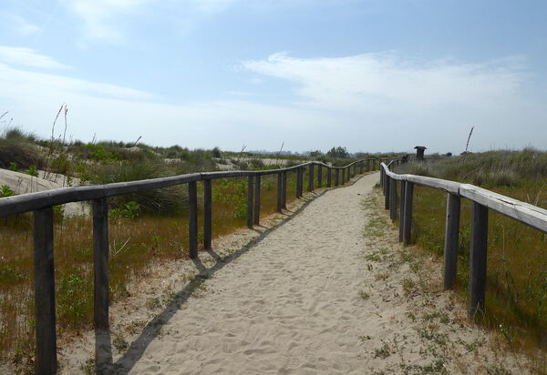 Villa Camerini, Nature, Bikes and Beaches: Activities, Autumn, Outdoor, Spring, Summer