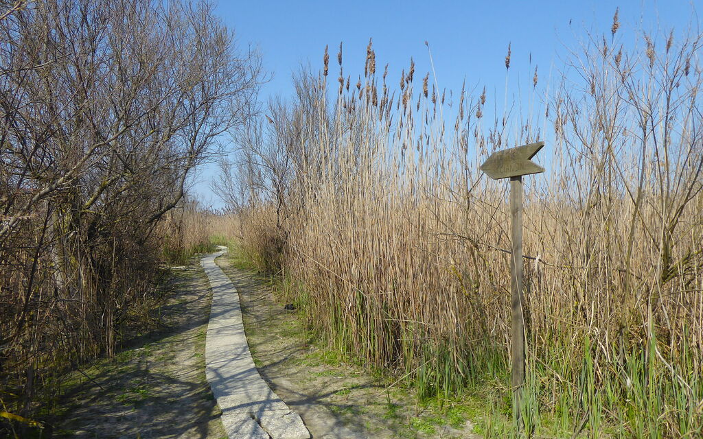 Villa Camerini, Nature, Bikes and Beaches: Activities, Autumn, Outdoor, Spring, Summer