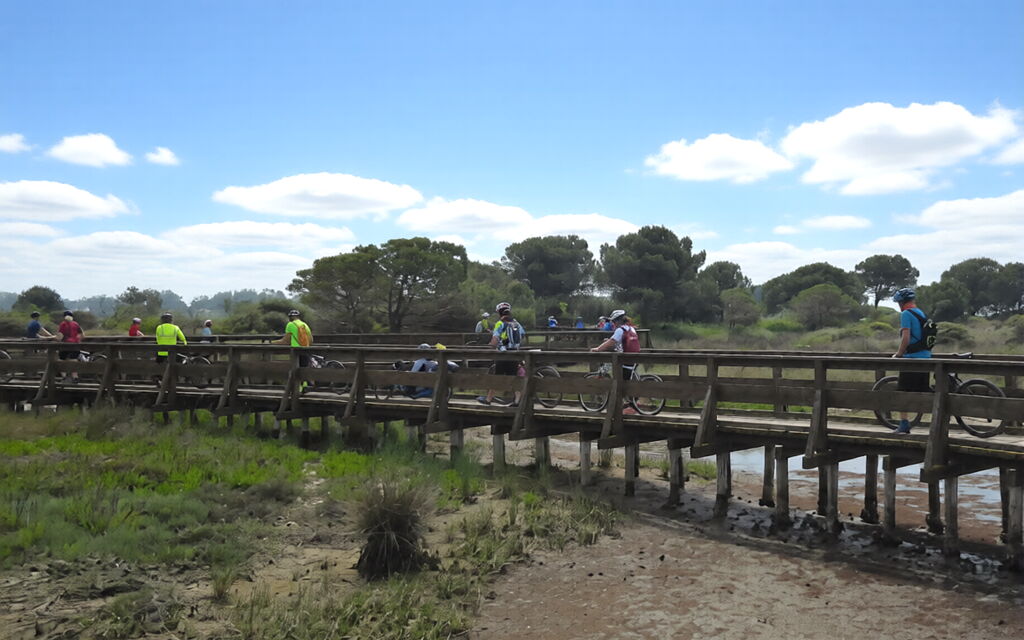 Villa Camerini, Nature, Bikes and Beaches: Activities, Autumn, Outdoor, Spring, Summer