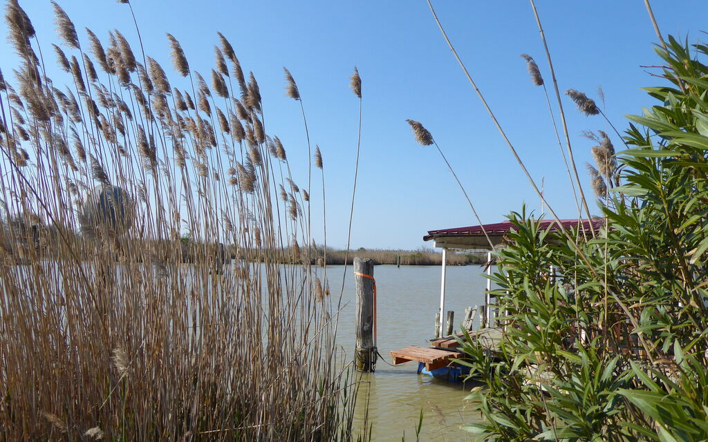 Villa Camerini, Nature, Bikes and Beaches: Activities, Autumn, Outdoor, Spring, Summer