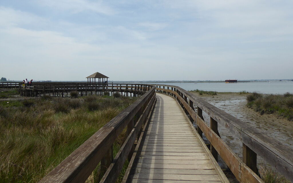 Villa Camerini, Nature, Bikes and Beaches: Activities, Autumn, Outdoor, Spring, Summer