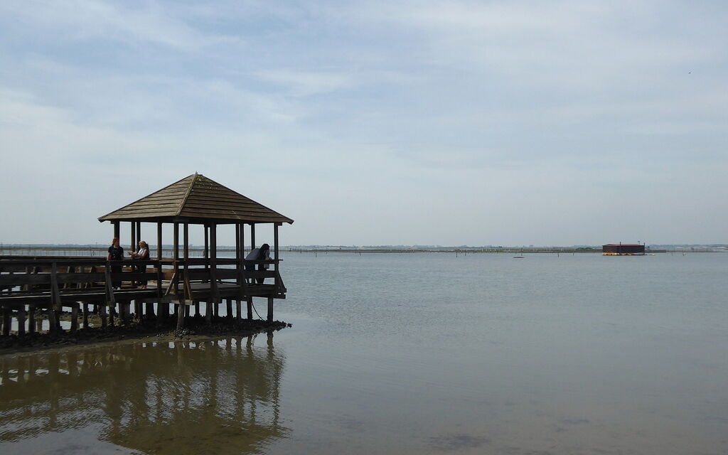 Villa Camerini, Nature, Bikes and Beaches: Activities, Autumn, Outdoor, Spring, Summer