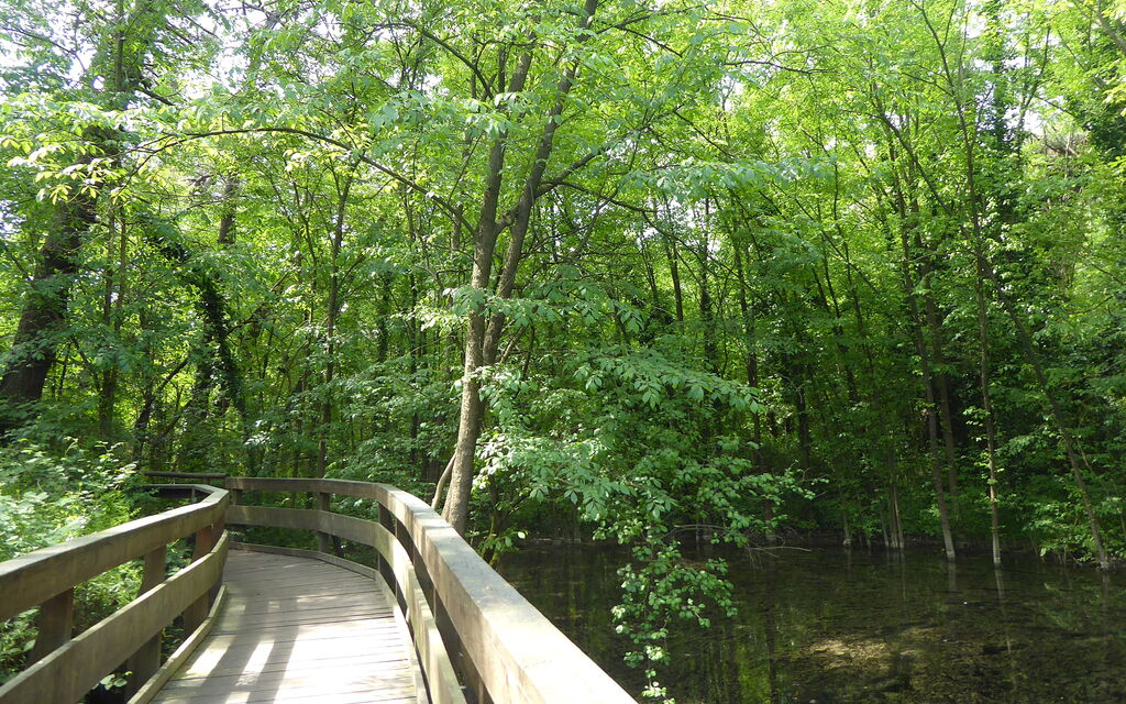 Villa Camerini, Nature, Bikes and Beaches: Activities, Autumn, Outdoor, Spring, Summer