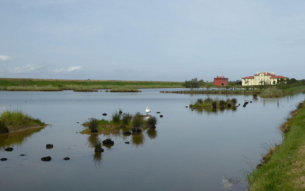 Villa Camerini, Nature, Bikes and Beaches: Activities, Autumn, Outdoor, Spring, Summer