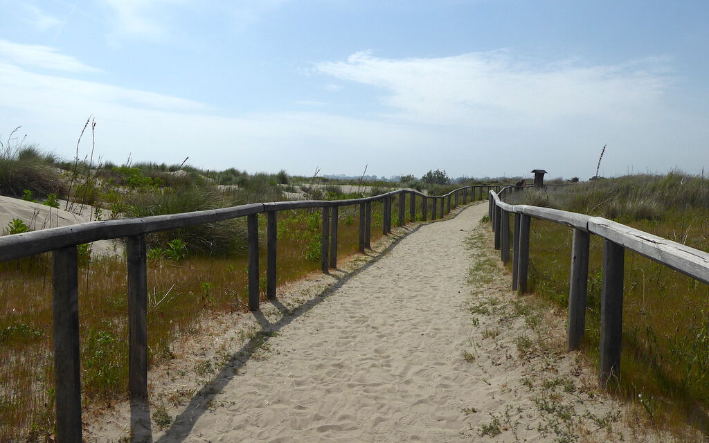 Villa Camerini, Nature, Bikes and Beaches: Activities, Autumn, Outdoor, Spring, Summer