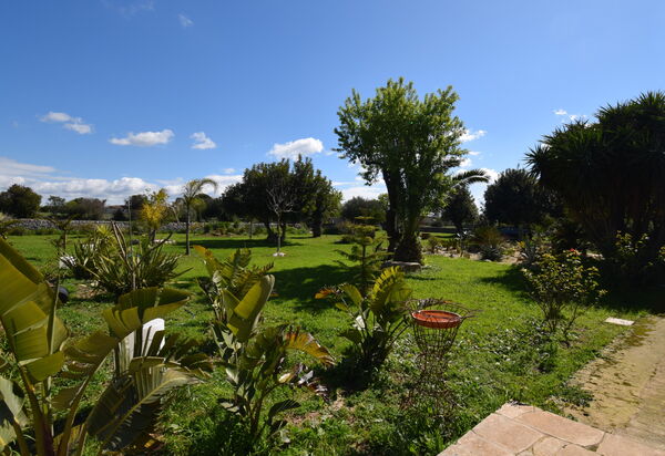 Villa Il Carato, Private Pool, Modica: Autunno, Estate, Giardino, Primavera