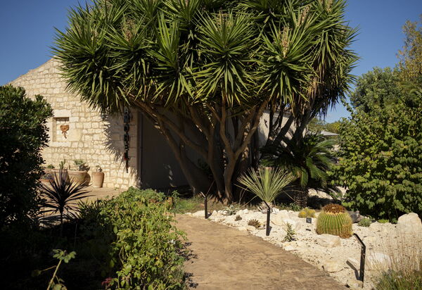 Villa Il Carato, Private Pool, Modica: Giardino