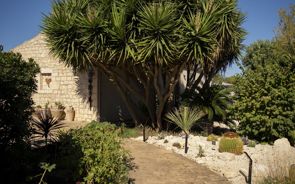 Villa Il Carato, Private Pool, Modica: Giardino