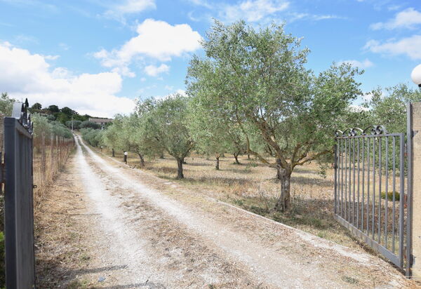 Villa Margi: Autunno, Estate, Esterni, Primavera