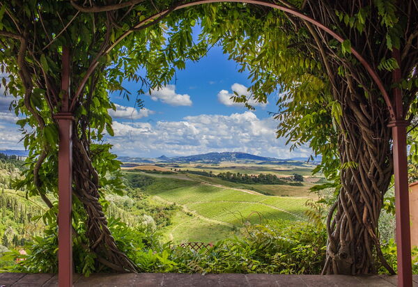 Villa Camelia: all'aperto, Balcone / Terrazza / Patio, Esterni, Vista Panoramica