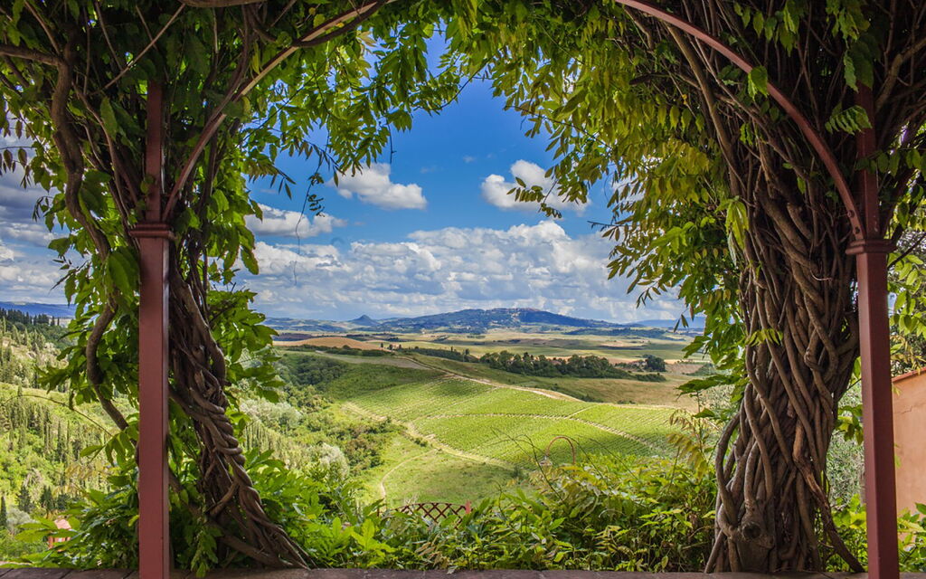 Villa Camelia: all'aperto, Balcone / Terrazza / Patio, Esterni, Vista Panoramica