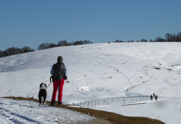 Cimus Home, Bike Retreat: Activities, Autumn, Outdoor, Spring, Summer