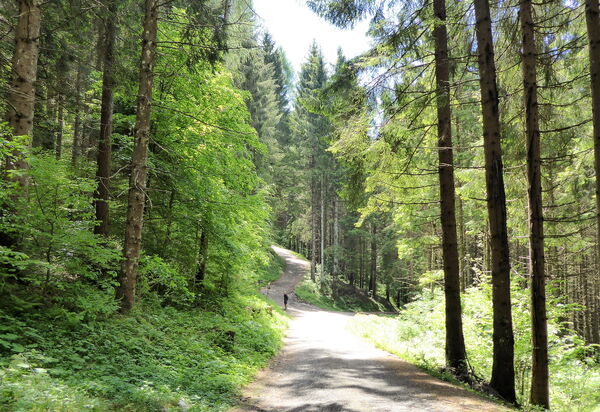 Cimus Home, Bike Retreat: Activities, Autumn, Outdoor, Spring, Summer