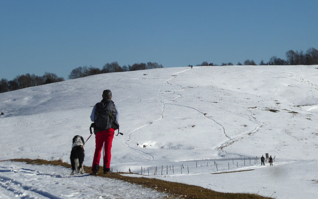 Cimus Home, Bike Retreat: Activities, Autumn, Outdoor, Spring, Summer