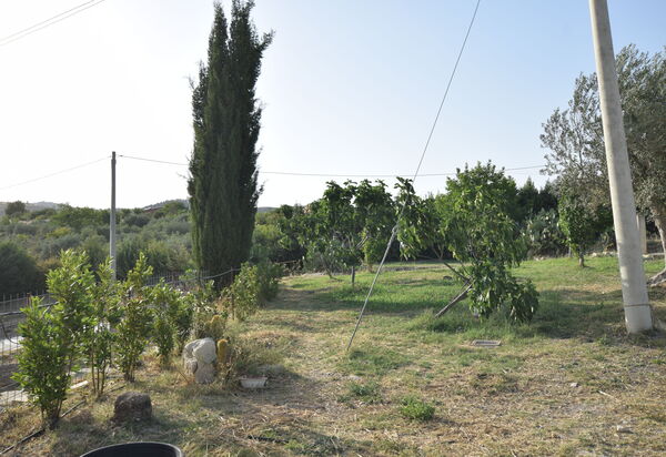 Villa Ina: Autunno, Estate, Giardino, Primavera