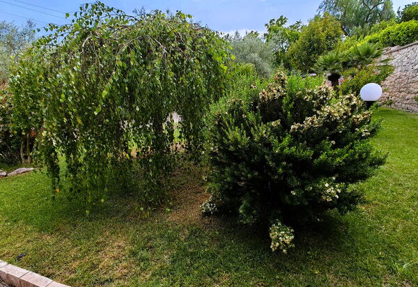 Villa del Monte: Autunno, Estate, Giardino, Primavera