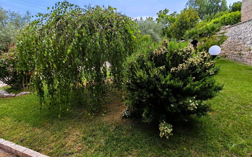 Villa del Monte: Autunno, Estate, Giardino, Primavera