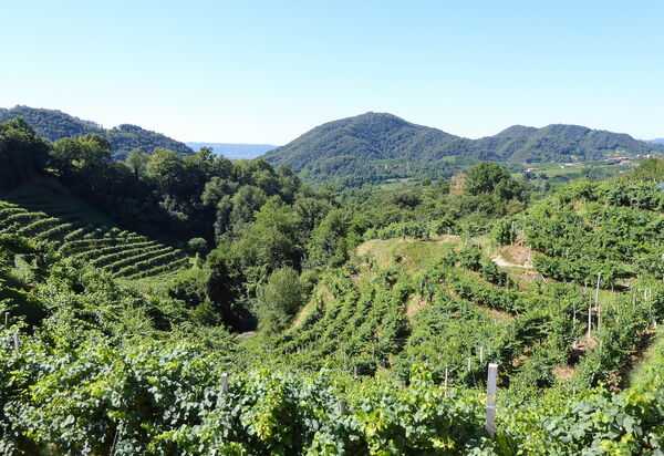 Villa 900 Design & Hills Escape: Activities, Autumn, Outdoor, Spring, Summer