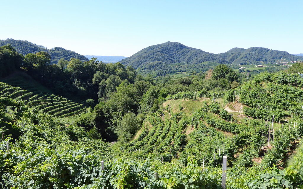 Villa 900 Design & Hills Escape: Activities, Autumn, Outdoor, Spring, Summer