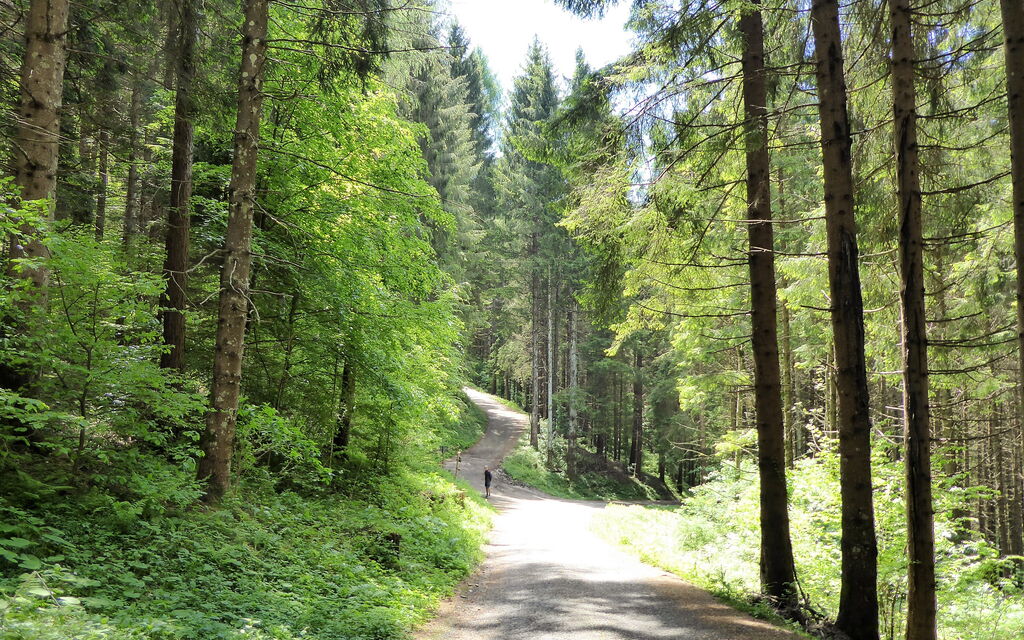 Villa 900 Design & Hills Escape: Activities, Autumn, Outdoor, Spring, Summer