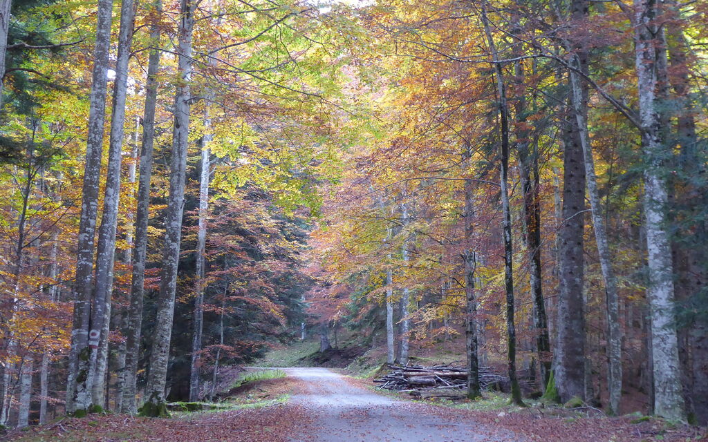 Villa 900 Design & Hills Escape: all'aperto, Attività, Autunno, Estate, Primavera