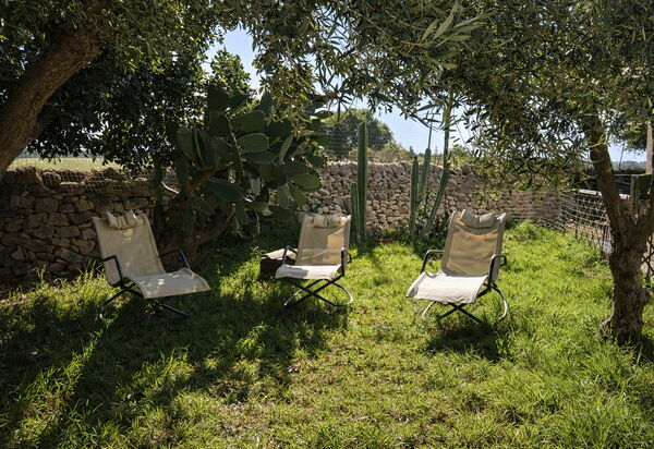 Ranch Salomonello: Autunno, Estate, Giardino, Primavera