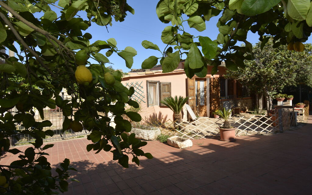 Ranch Salomonello: Autumn, Garden, Spring, Summer