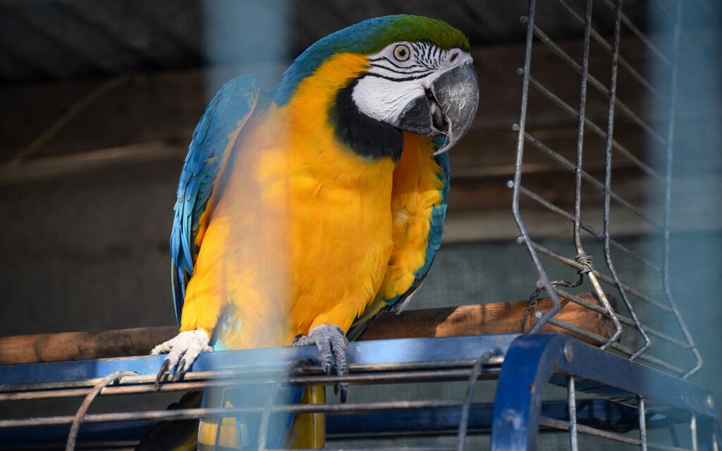 Ranch Salomonello: Autumn, Garden, Outdoor, Spring, Summer