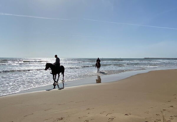 Tenuta Renna by Geco Vacation Rentals: all'aperto, Attività, Autunno, Estate, Primavera