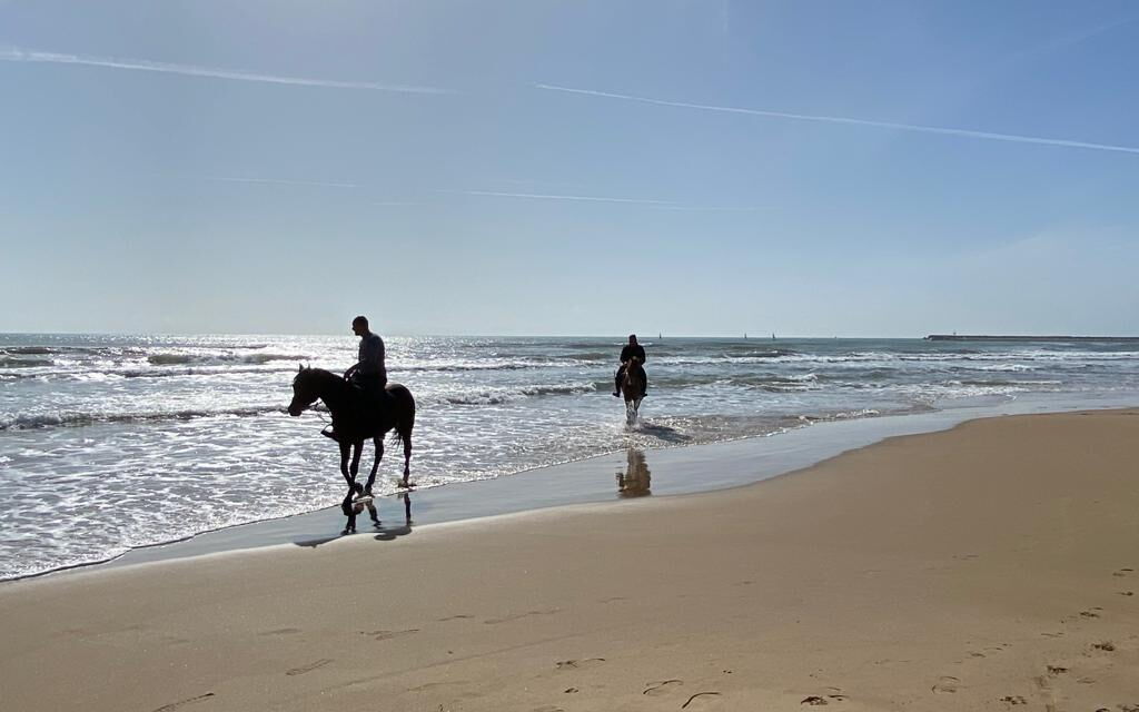 Tenuta Renna by Geco Vacation Rentals: all'aperto, Attività, Autunno, Estate, Primavera